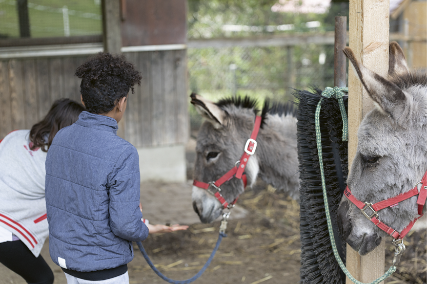Tierpaedag_Projekte_Linzgau Jugendtreff<br />